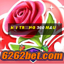 Hội trường 360 màu