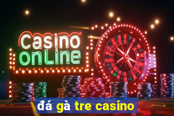 đá gà tre casino