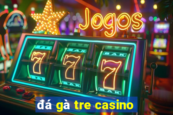 đá gà tre casino