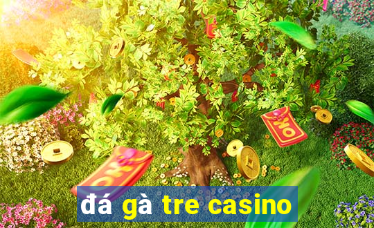 đá gà tre casino