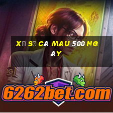 xổ số cà mau 500 ngày