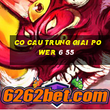 co cau trung giai power 6 55