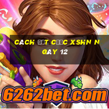 Cách đặt cược XSHN ngày 12