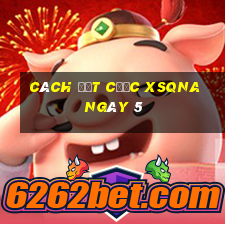 Cách đặt cược XSQNA ngày 5