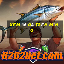 xem đá gà trên mạng