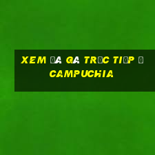 xem đá gà trực tiếp ở campuchia