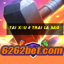 tài xỉu 4 trái là sao