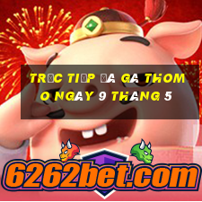 trực tiếp đá gà thomo ngày 9 tháng 5