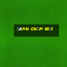 đánh chắn giỏi