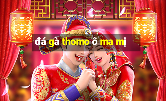 đá gà thomo ô ma mị