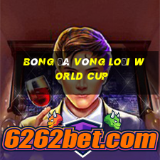 bóng đá vòng loại world cup