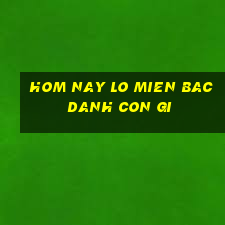 hom nay lo mien bac danh con gi