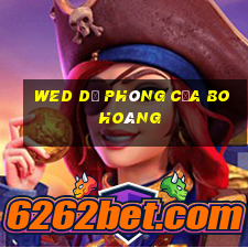 wed dự phòng của Bo Hoàng