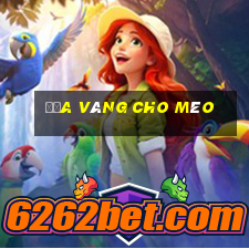 Đưa Vàng Cho Mèo