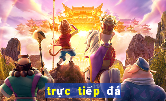 trực tiếp đá gà mộc bài