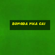 bongda nha cai