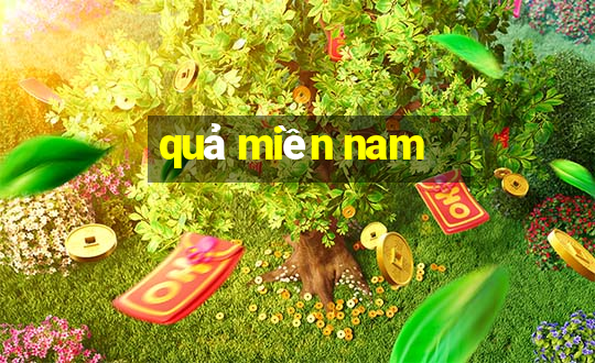 quả miền nam