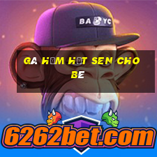 gà hầm hạt sen cho bé