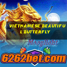 Vietnamese beautiful butterfly