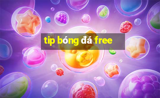 tip bóng đá free