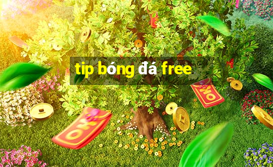 tip bóng đá free