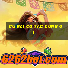 cu gai co tac dung gi