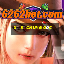 Xổ số chung góc