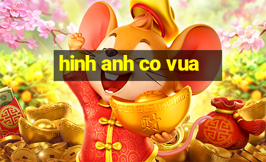 hinh anh co vua