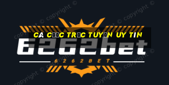 cá cược trực tuyến uy tín