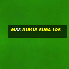 M88 DUHUI SUGA iOS