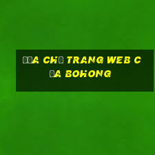 Địa chỉ trang web của Bohong