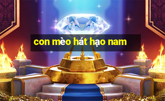 con mèo hát hạo nam