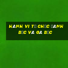 hành vi tổ chức đánh bạc và gá bạc