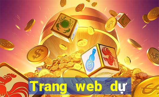 Trang web dự đoán bóng đá rất chính xác