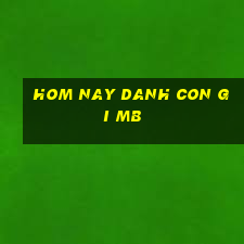 hom nay danh con gi mb