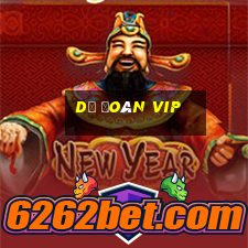 dự đoán vip