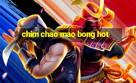 chim chao mao bong hot