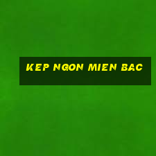 kep ngon mien bac