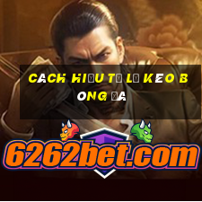 cách hiểu tỷ lệ kèo bóng đá