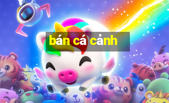 bán cá cảnh