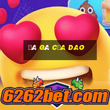 đá gà cựa dao