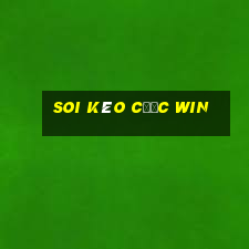 soi kèo cược win