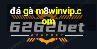 đá gà m8winvip.com