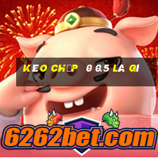 kèo chấp  0 0.5 là gì