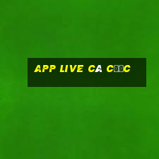 app live cá cược