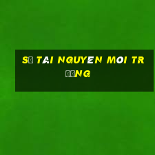 sở tài nguyên môi trường