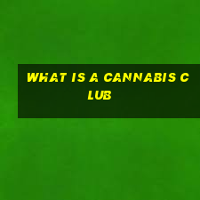 what is a cannabis club