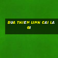 bùa thiên linh cái là gì