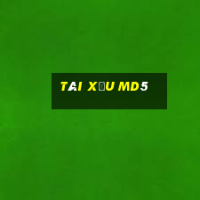 tài xĩu md5