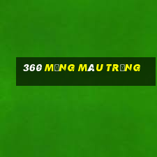 360 mạng màu trắng